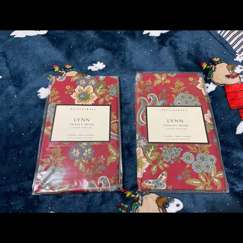 New Pottery Barn Vintage Lynn Paisley Floral Standard Shams, Red, 20X26”